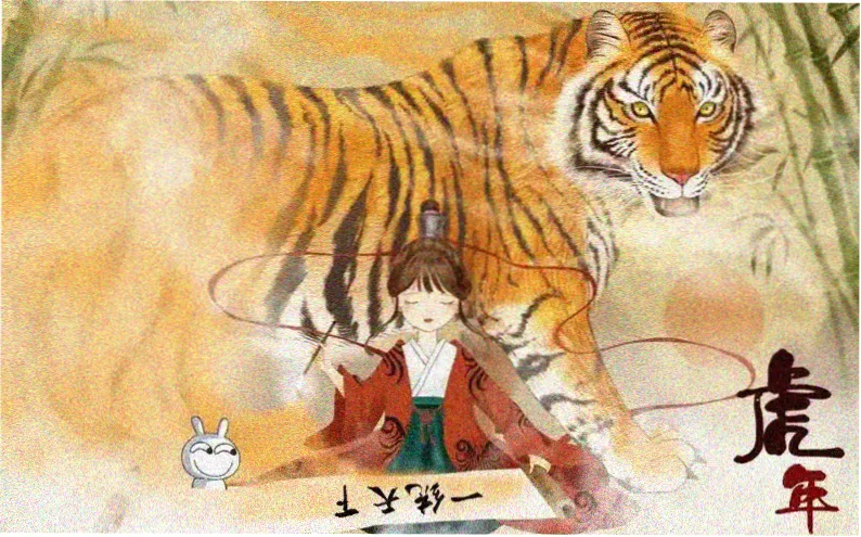 本周主打综艺节目免费观看推荐